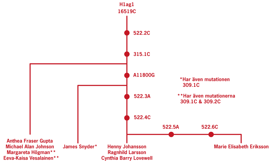 Henny mtDNA matchschema 9